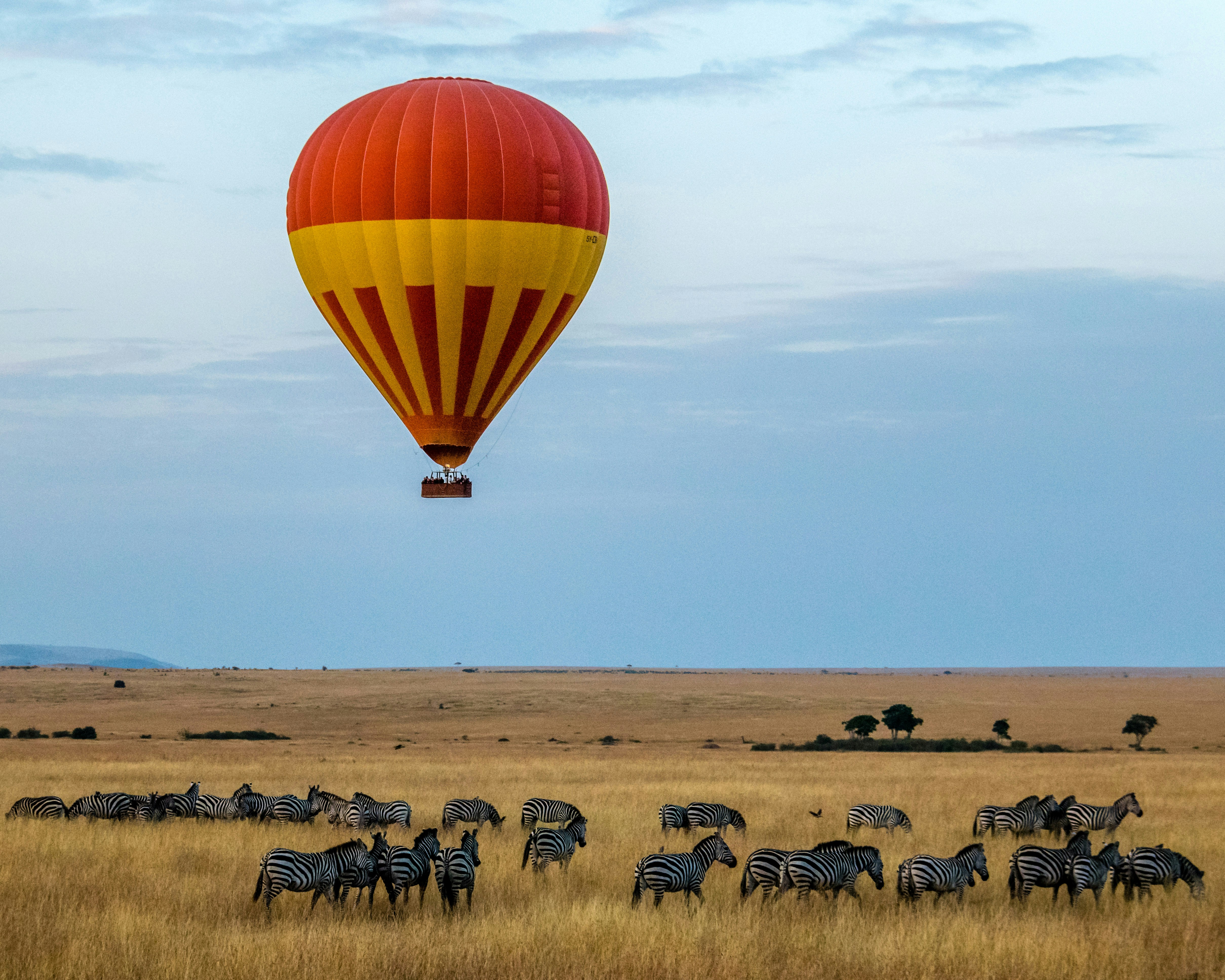 Kenya safari with Maasai Mara and wildlife